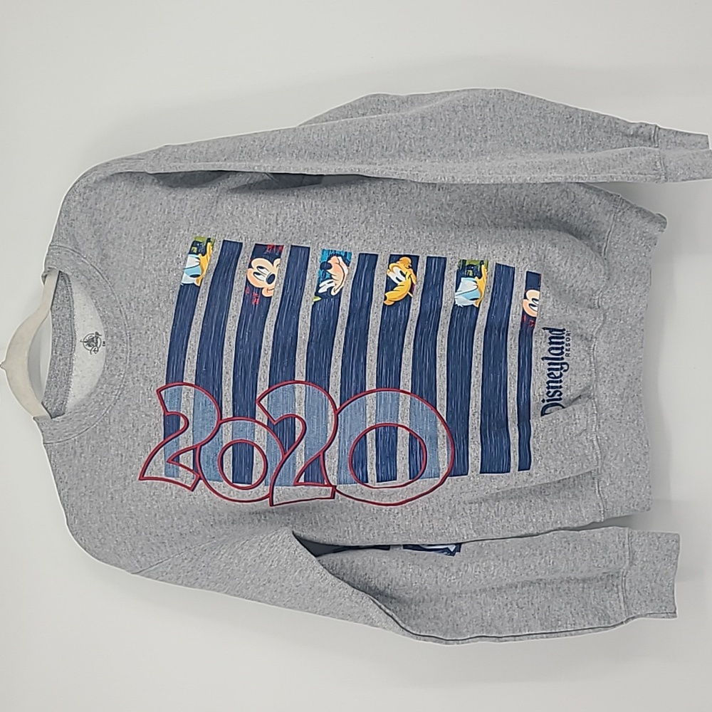 Disneyland resort 2020 crewneck sweatshirt gray small unisex - Picture 1 of 8